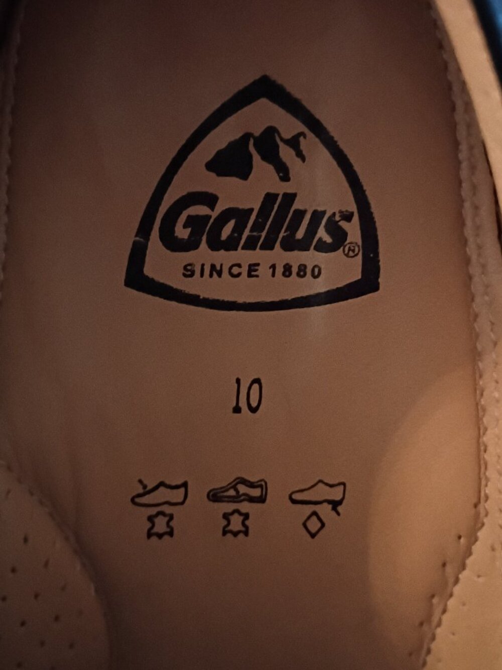 Gallus Myron View 2